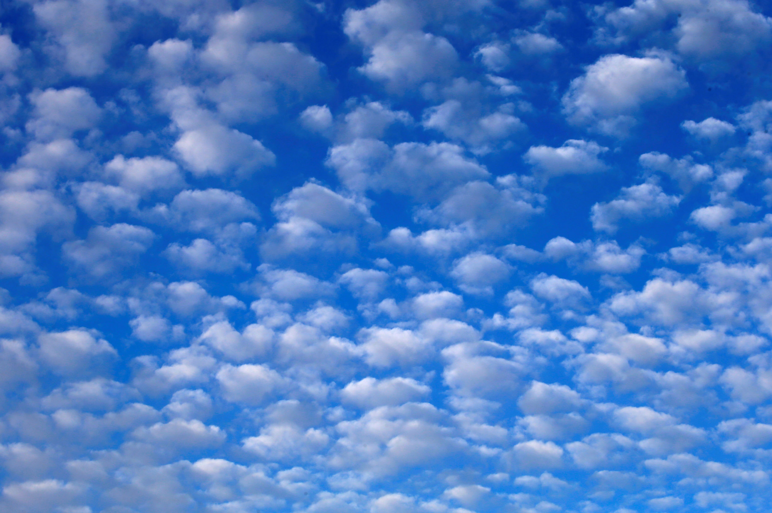 The Sky’s the Limit for Cloud-Based Business Management