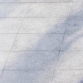2026 AI in Professional Services Report